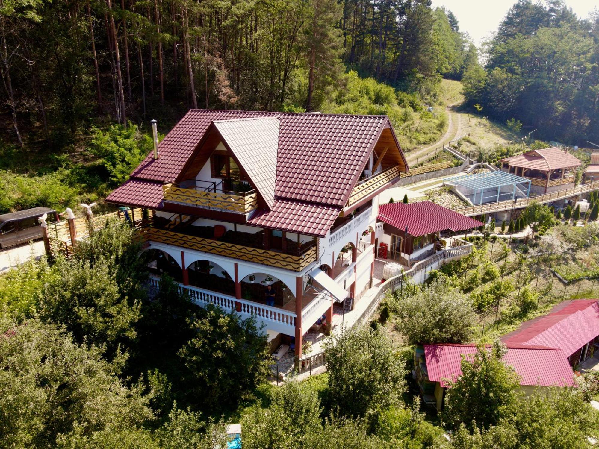 Vila Victoria Pangarati Zewnętrze zdjęcie